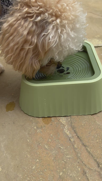 Pooch Floating Water Bowl